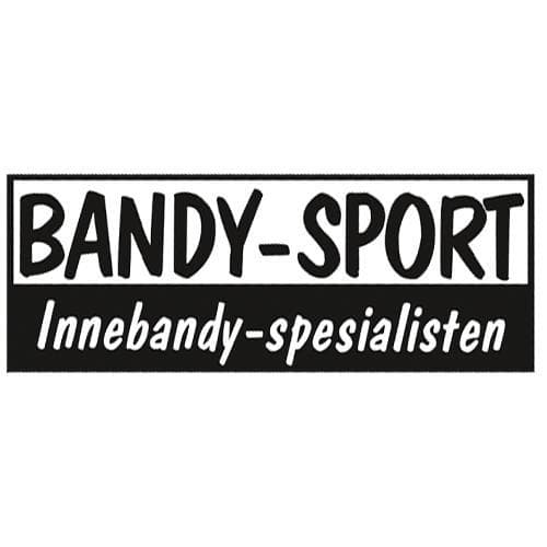 Sponsor logo #1